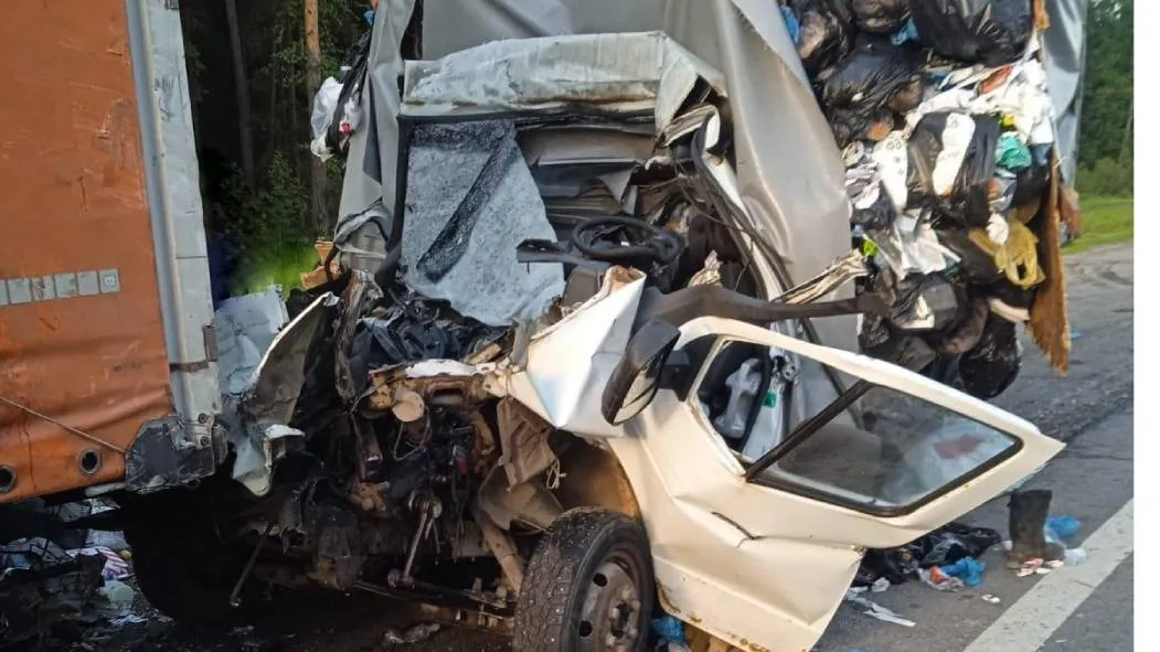 Фото: ГКУ МО "Мособлпожспас"