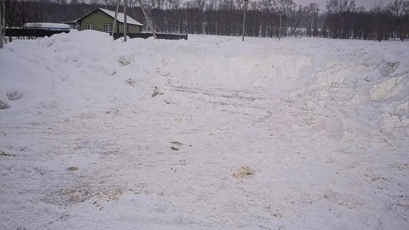 Медиабанк Подмосковья/Елена Шалашова