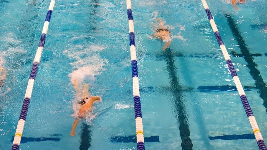 Фото: pxhere.com