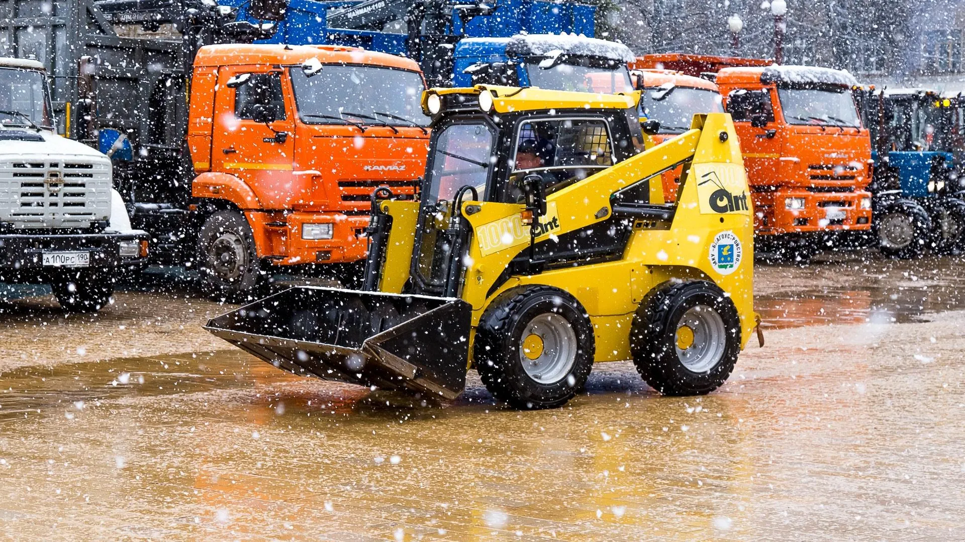 Фото: Антон Селянин