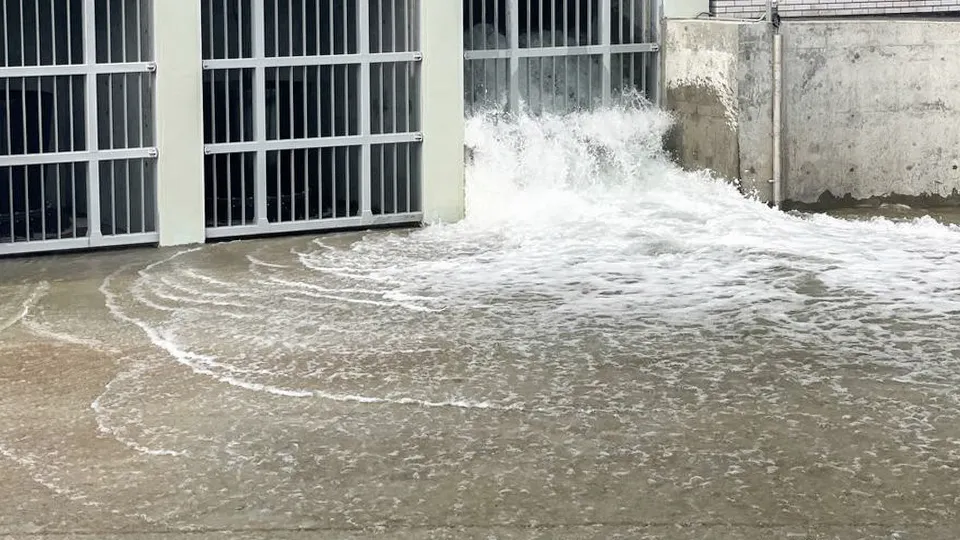 Фото: МедиаБанк Подмосковья/Дарья Леонова