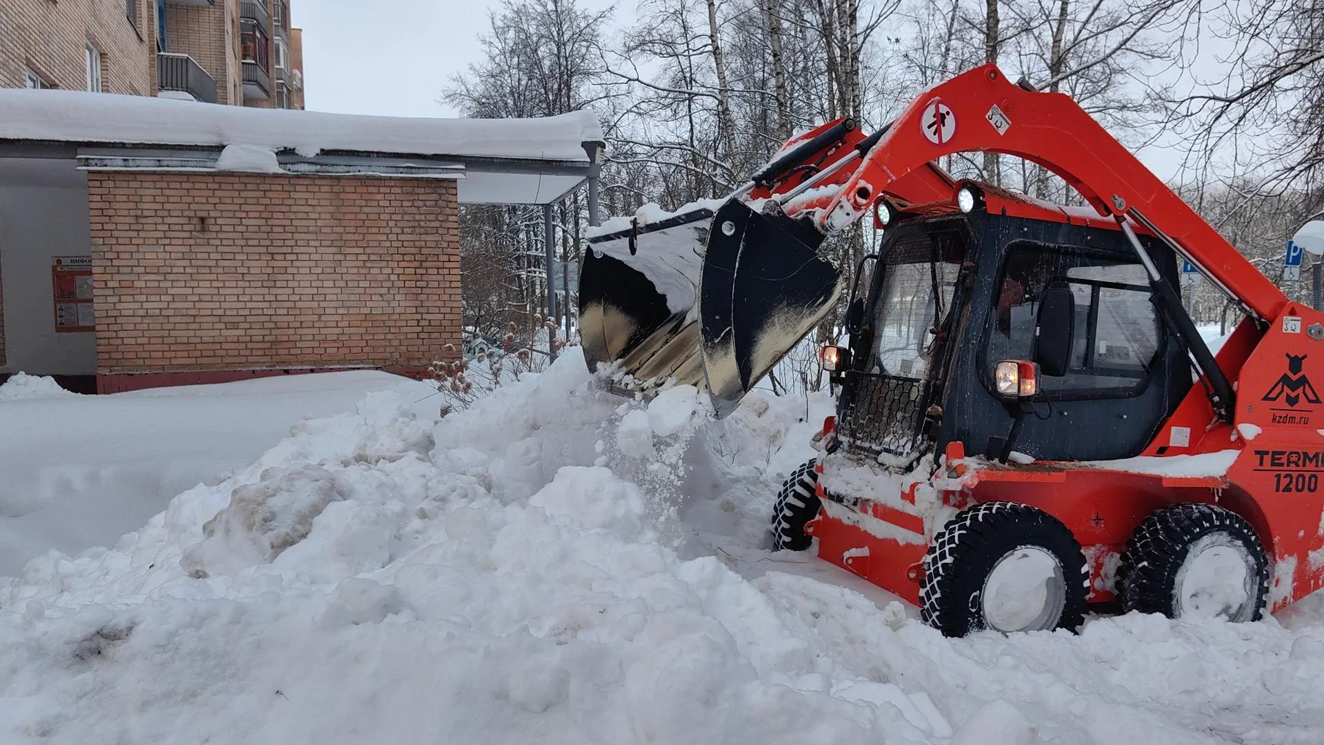 Елена Катасонова