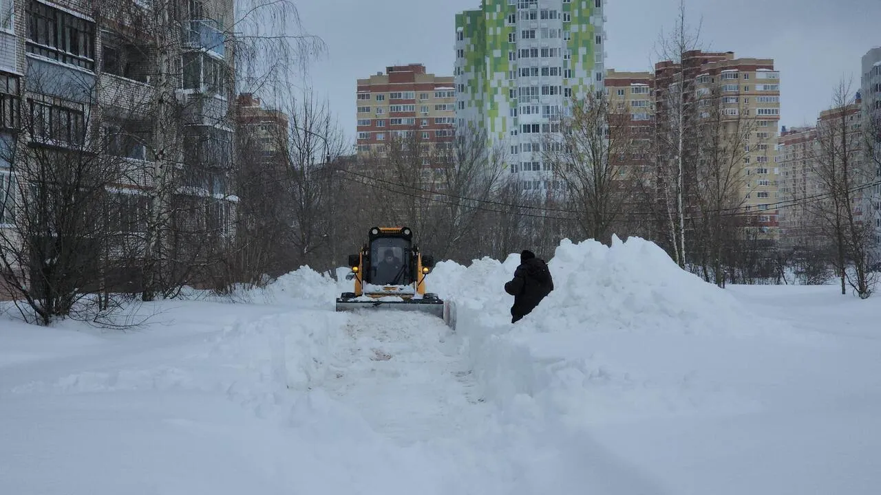 REGIONS/Валерия Тингаева