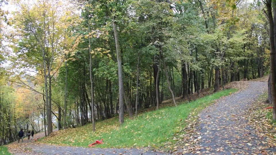 Фото: пресс-служба администрации г.о. Подольск