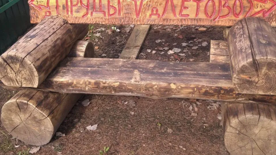 Фото: Комитет лесного хозяйства Московской области