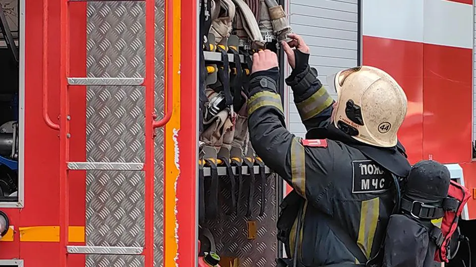 Фото: МедиаБанк Подмосковья/Елена Катасонова