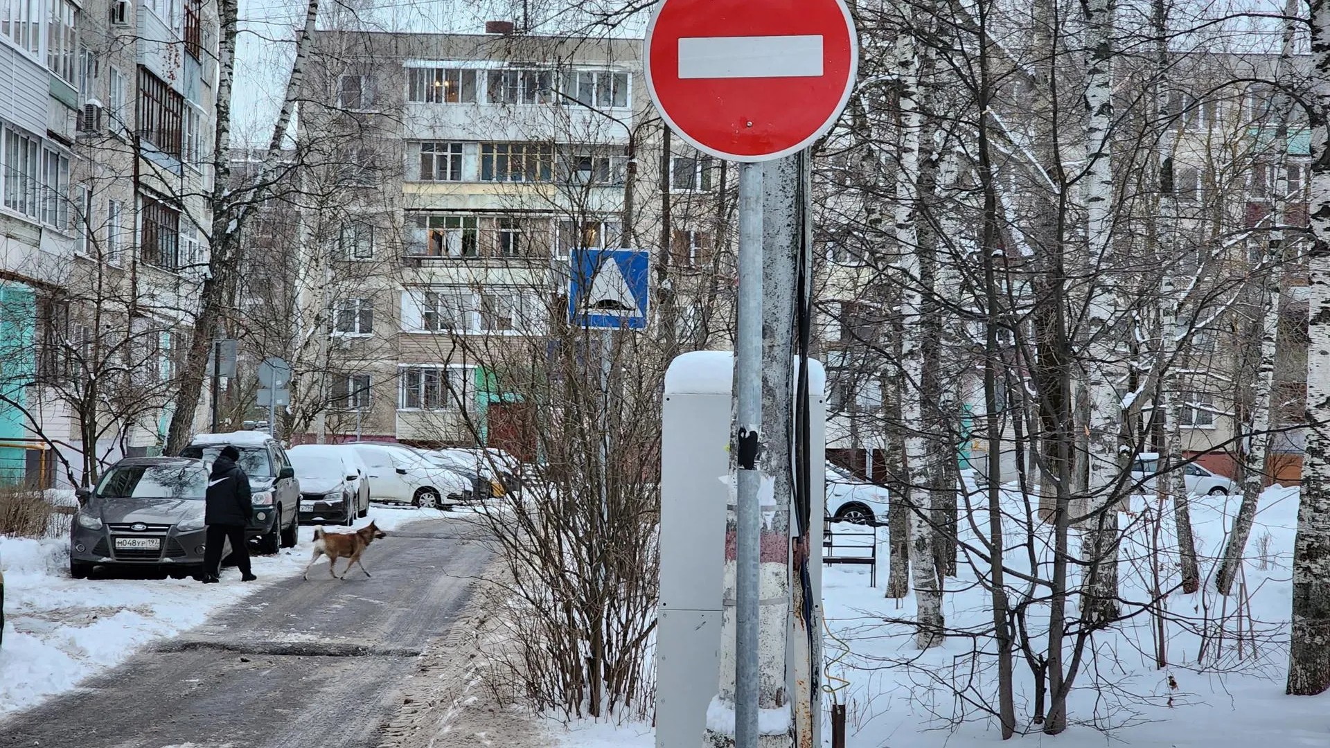 Фото: Ирина Моисеева