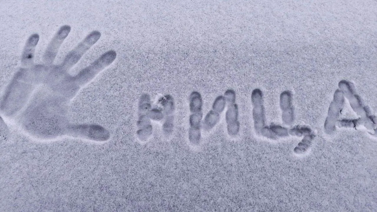 REGIONS/Роман Малышенко