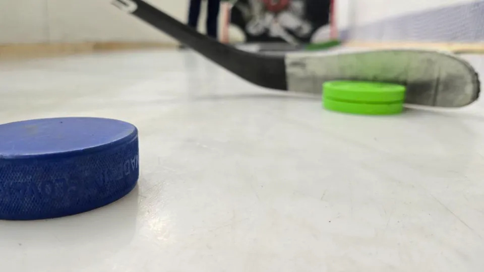 Фото: МедиаБанк Подмосковья/Яна Шаливская