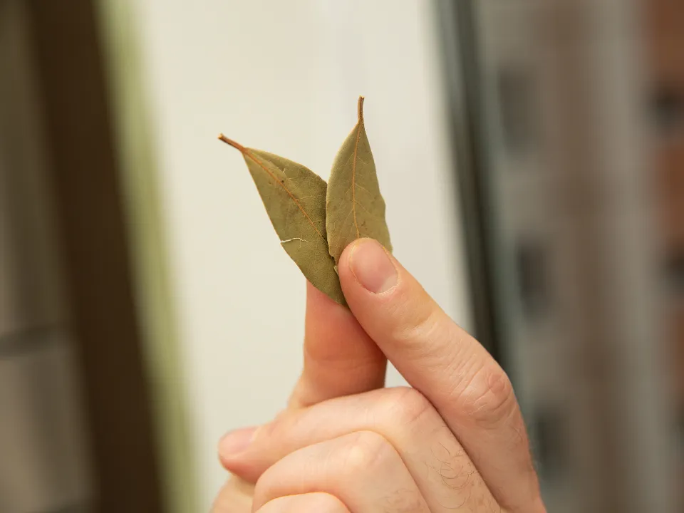 Фото: istockphoto.com