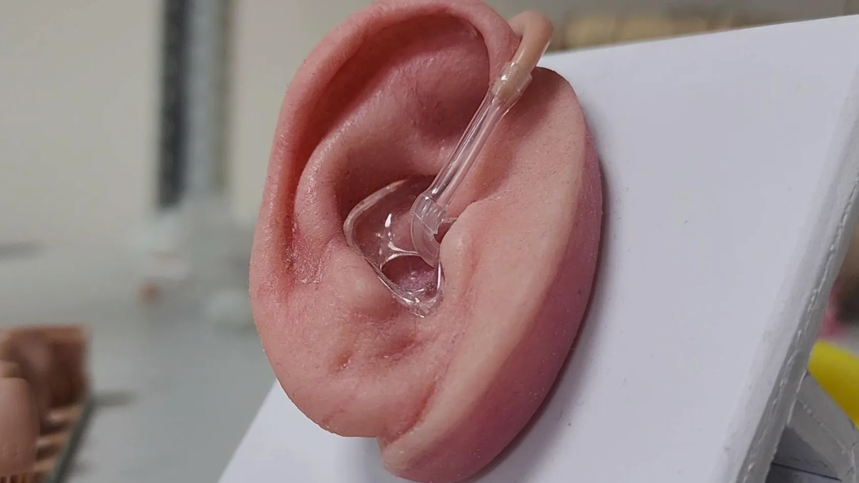 Фото: Евгения Корытько