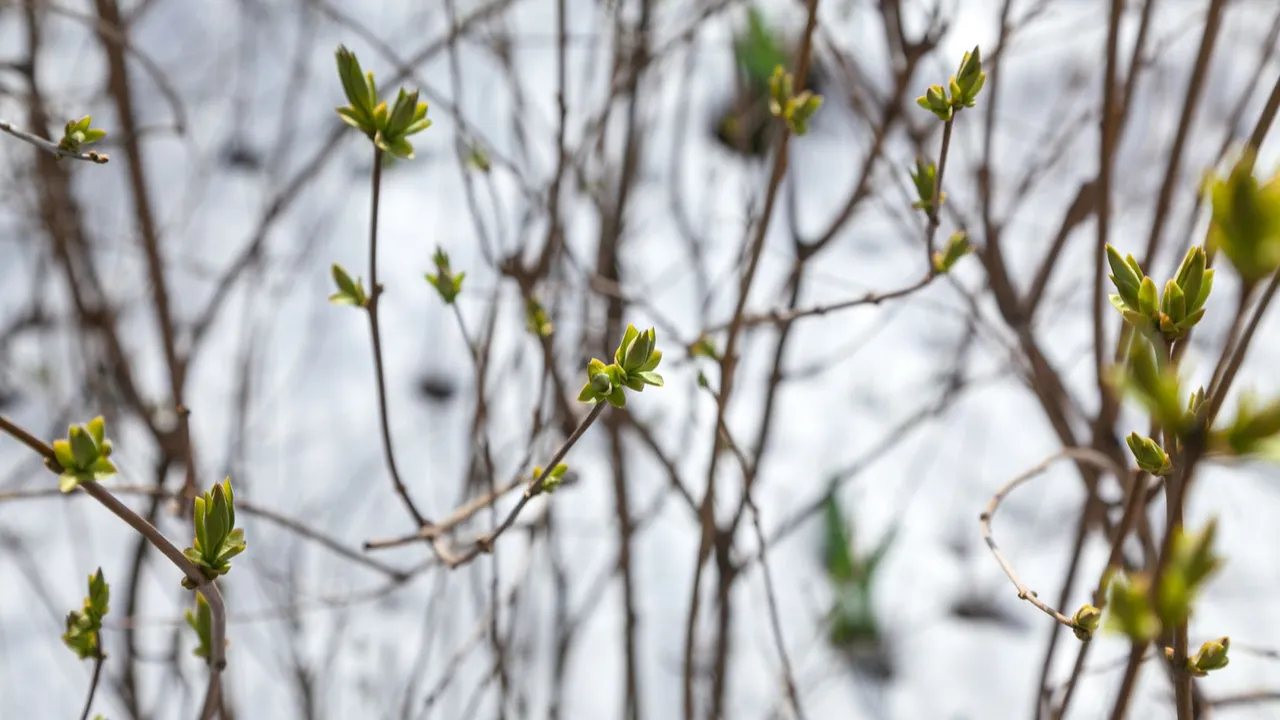 медиасток.рф