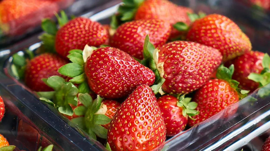 Фото: unsplash.com