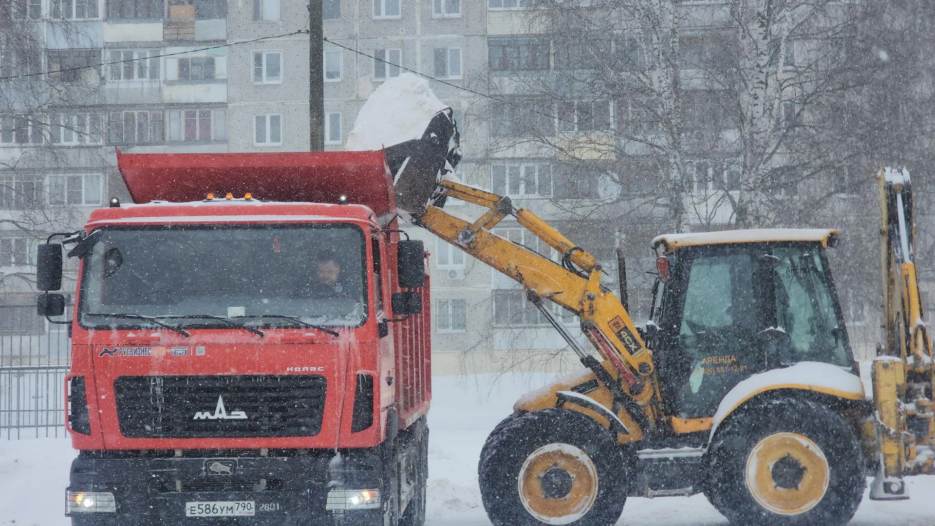Алёна Притула