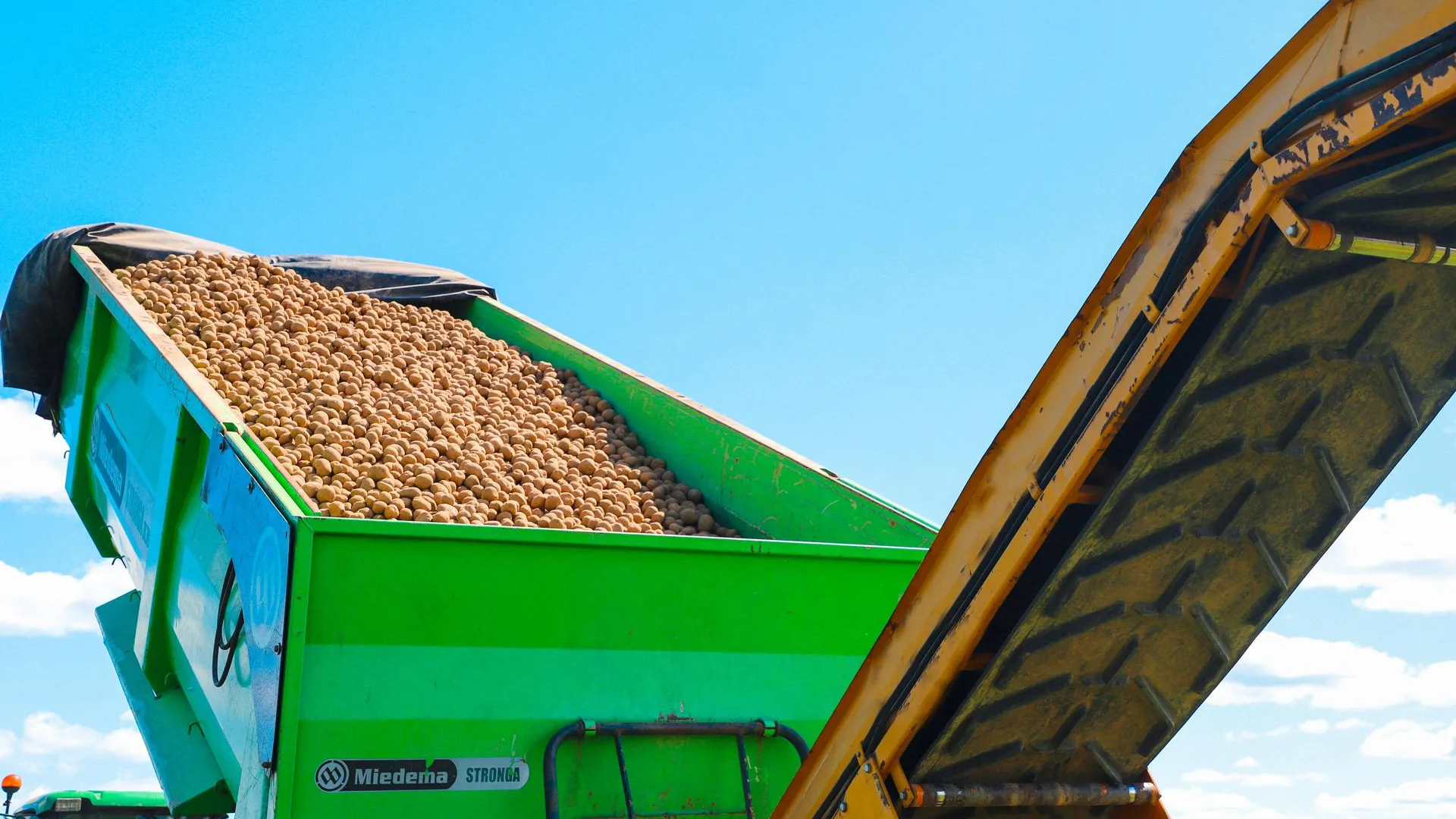 Фото: пресс-служба администрации г.о. Шатура