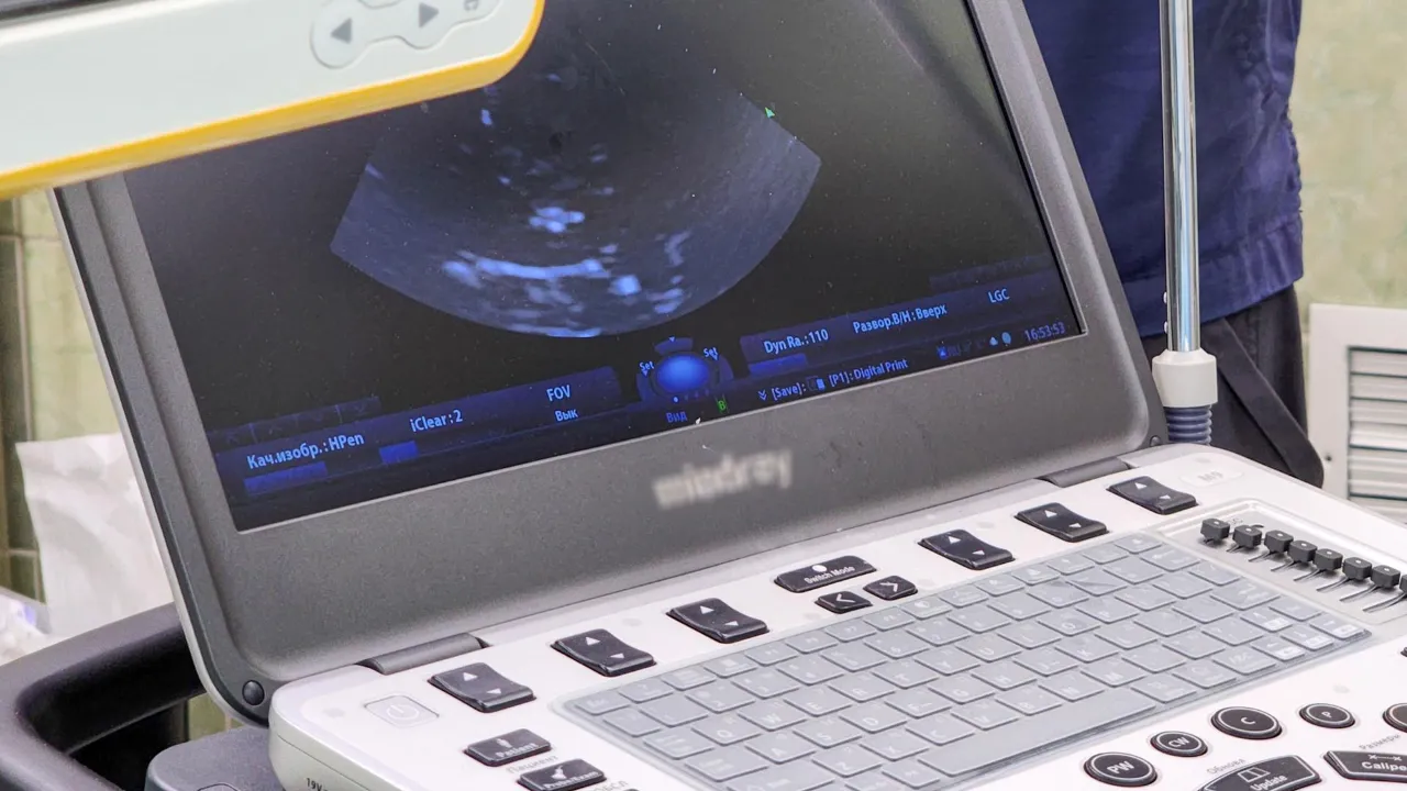 REGIONS/Мария Андрюхина