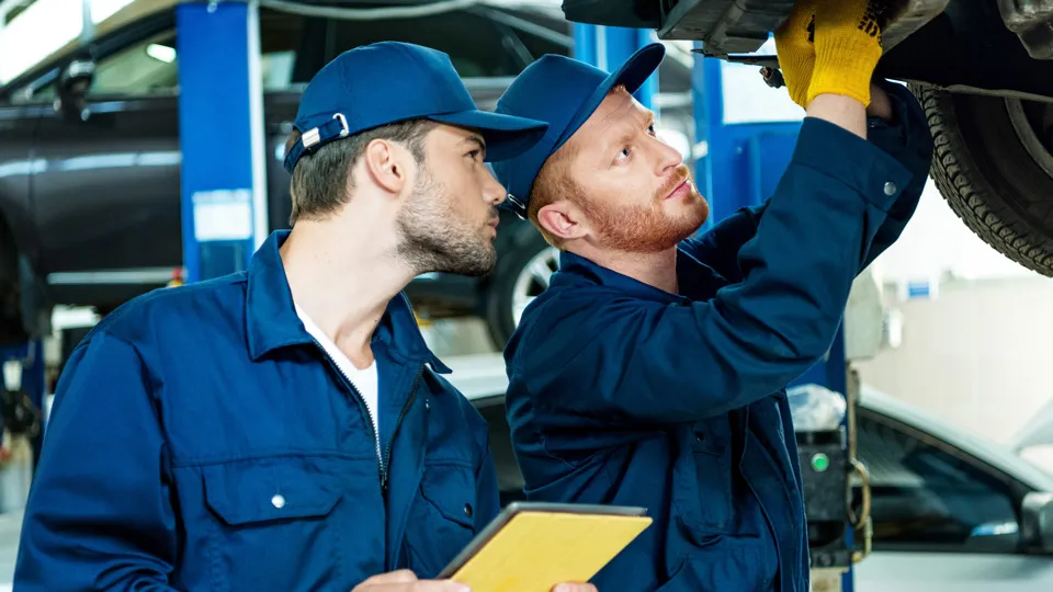 Фото: istockphoto.com/LightFieldStudios