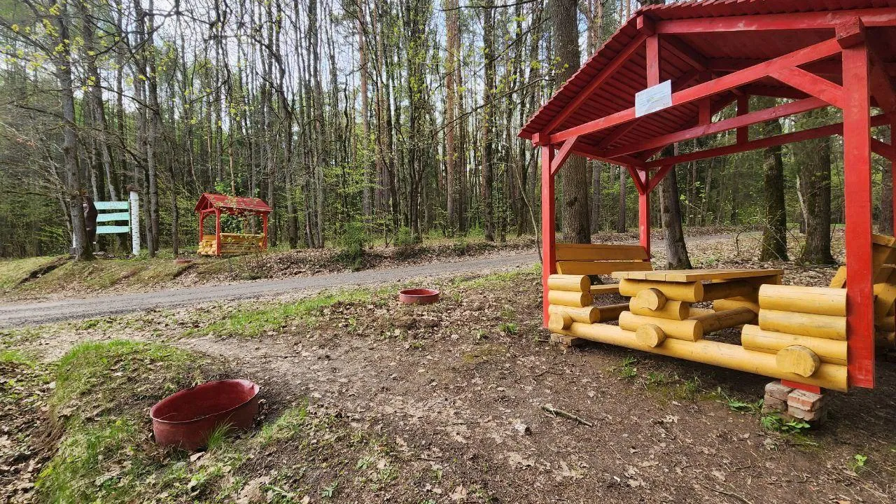 Фото: Мария Панина