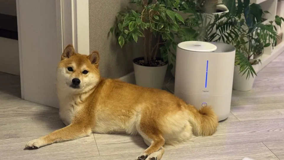 Фото: REGIONS/Евгения Макаренко