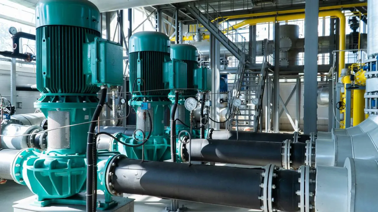 Фото: пресс-служба Администрации г.о. Домодедово