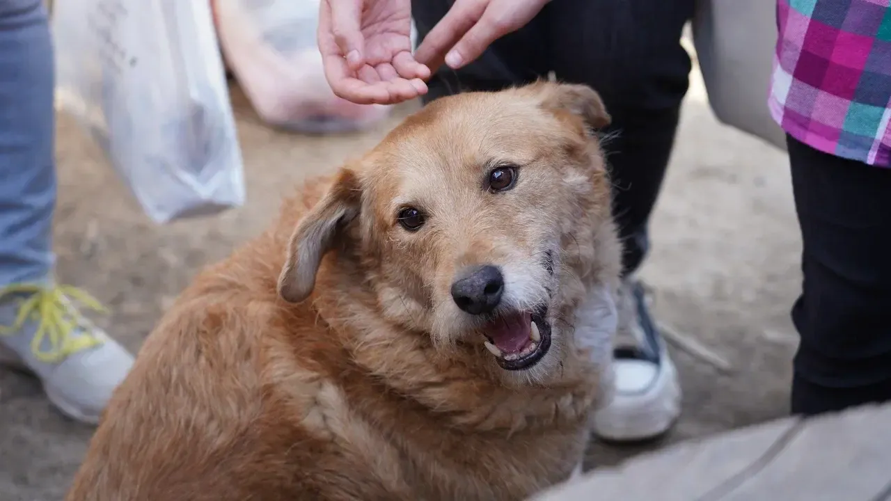 Фото: Руслан Полянин