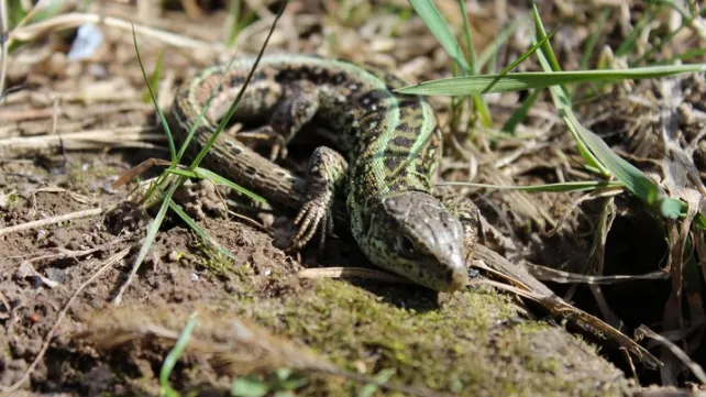 Фото: ru.freepik.com