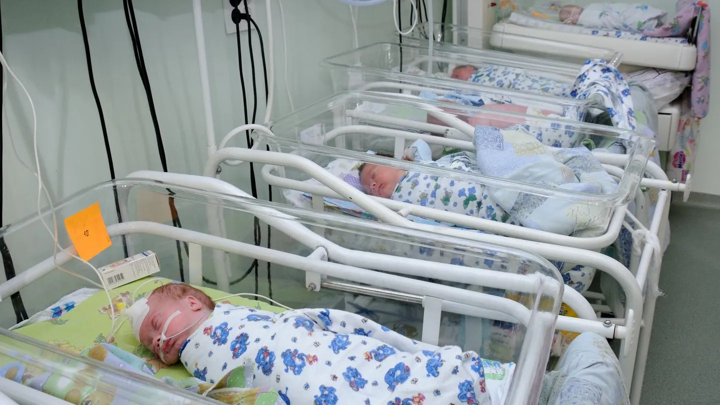 Фото: медиасток.рф