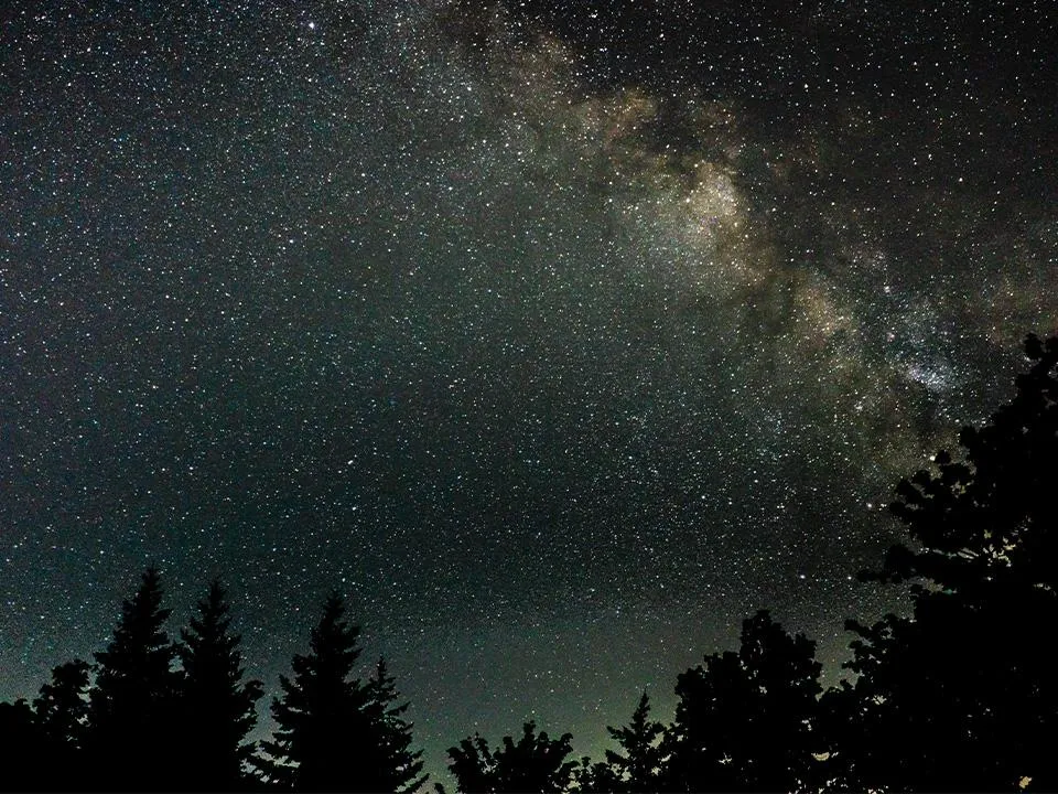 Не ешь, молись, смотри: как добиться исполнения желаний от самого яркого звездопада в этом году