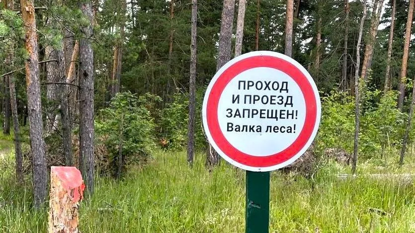 Пресс-служба администрации городского округа Воскресенск
