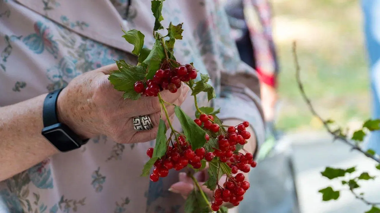 REGIONS/Наталья Надточая