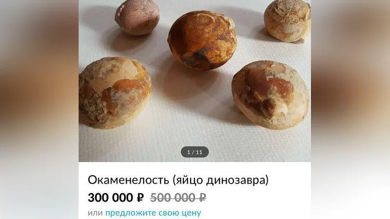 Avito