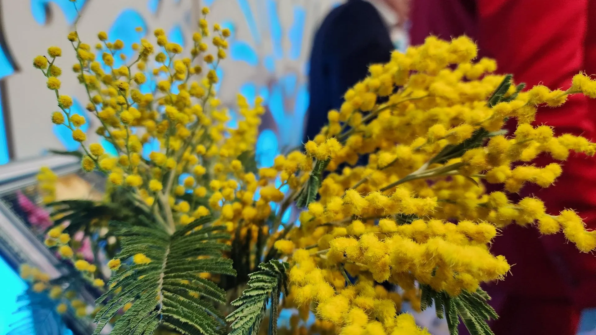 Ольга Аввакумова