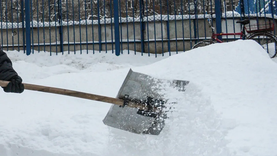 Фото: медиасток.рф