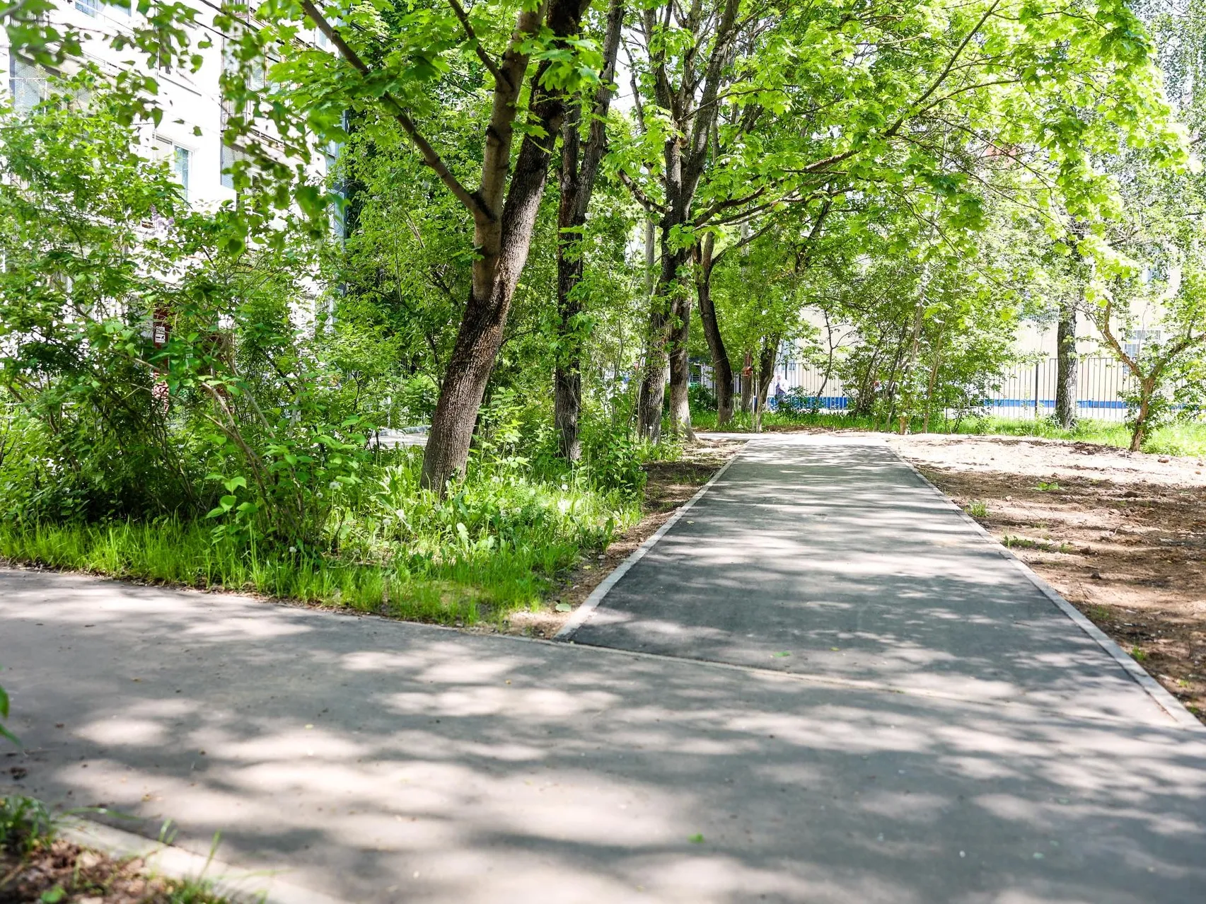 Фото: пресс-служба администрации г.о. Красногорск