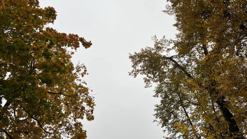 Фото: REGIONS/Елена Фурман