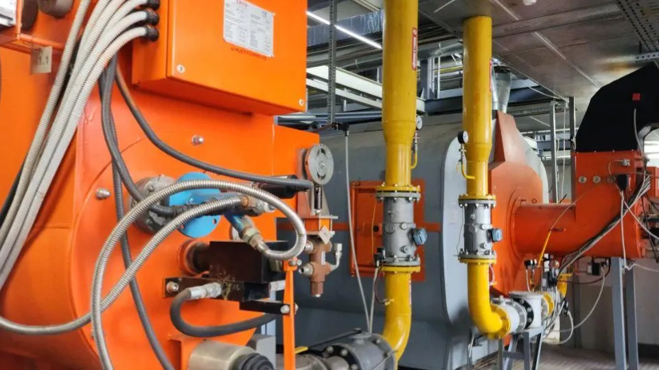 Фото: МедиаБанк Подмосковья/Анастасия Сараева