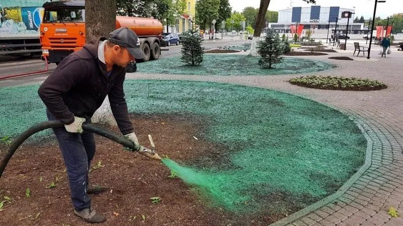 Голую землю на клумбах Электростали покрыли зеленой краской