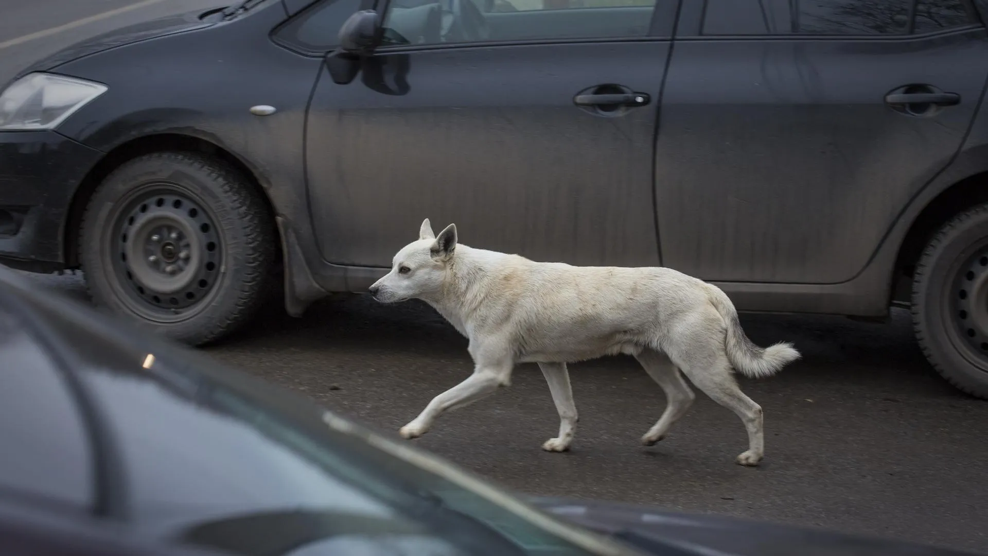 Фото: Павел Попов