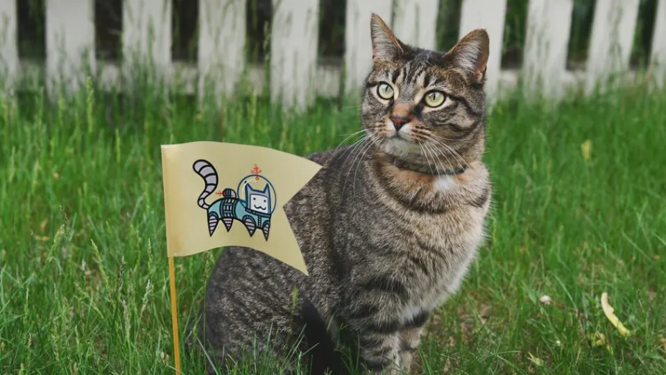 Фото: pxhere.com