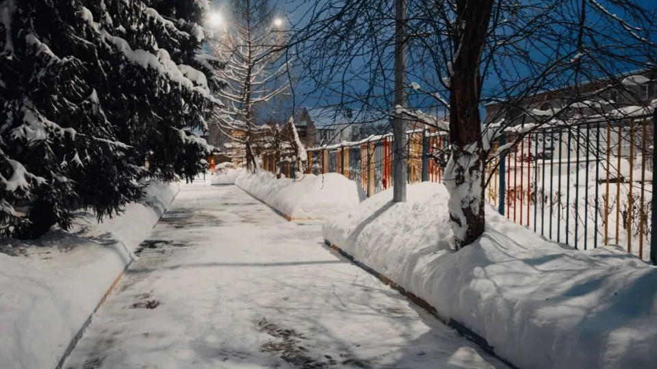 Фото: пресс-служба администрации г.о. Лосино-Петровский