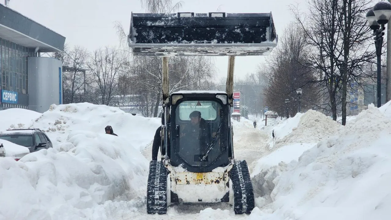 REGIONS/Мария Шигорева