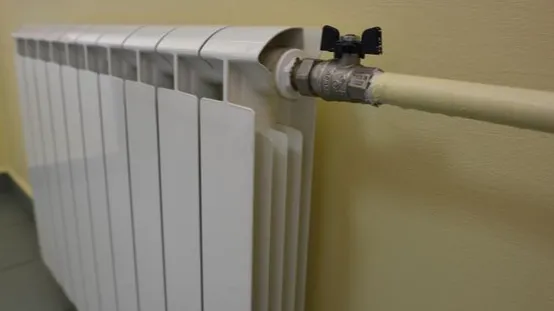 Фото: Медиасток Подмосковья