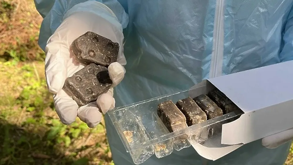 Фото: пресс-служба администрации г.о. Егорьевск