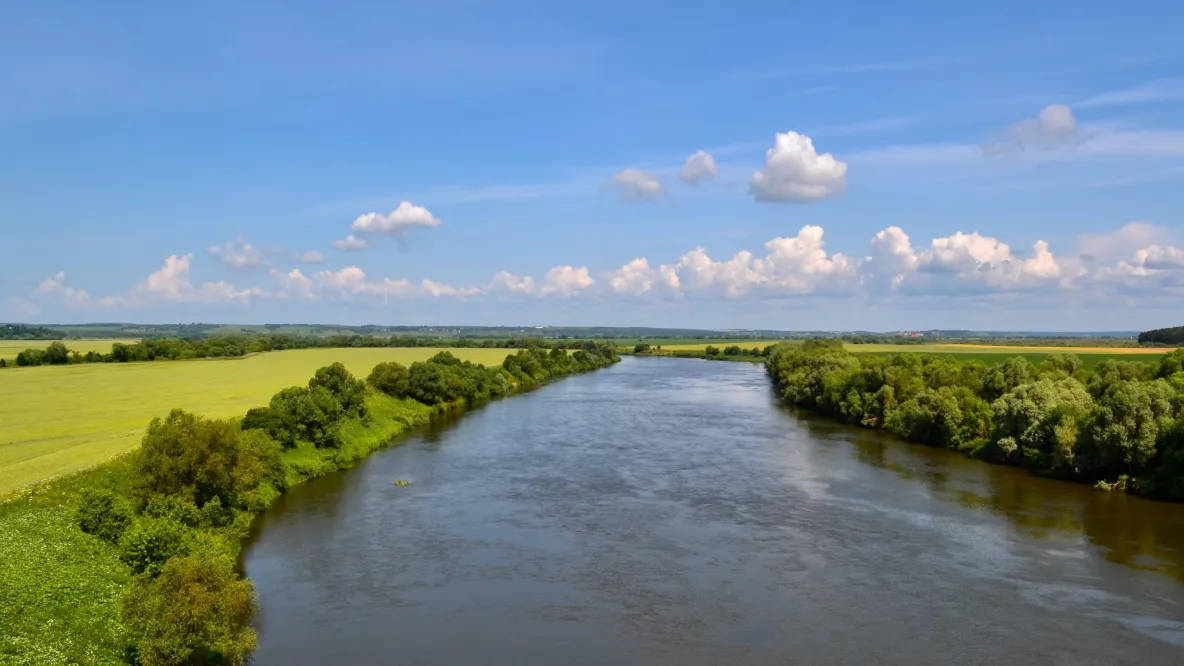 Фото: unsplash.com