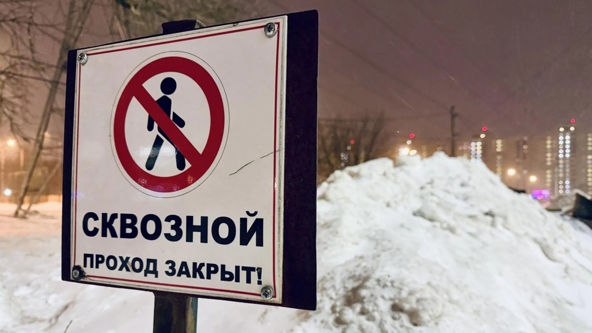 МедиаБанк Подмосковья/Ольга Стаферова