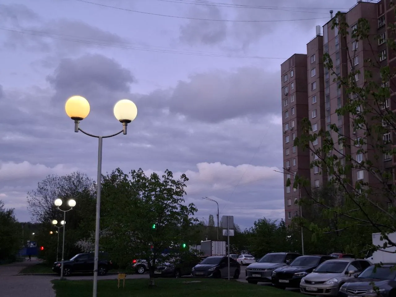 Фото: Александра Загороднова