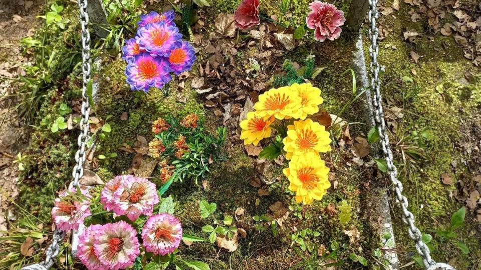 Фото: REGIONS/Олег Книжник