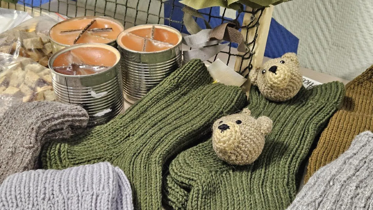 МедиаБанк Подмосковья/Вероника Горбачева