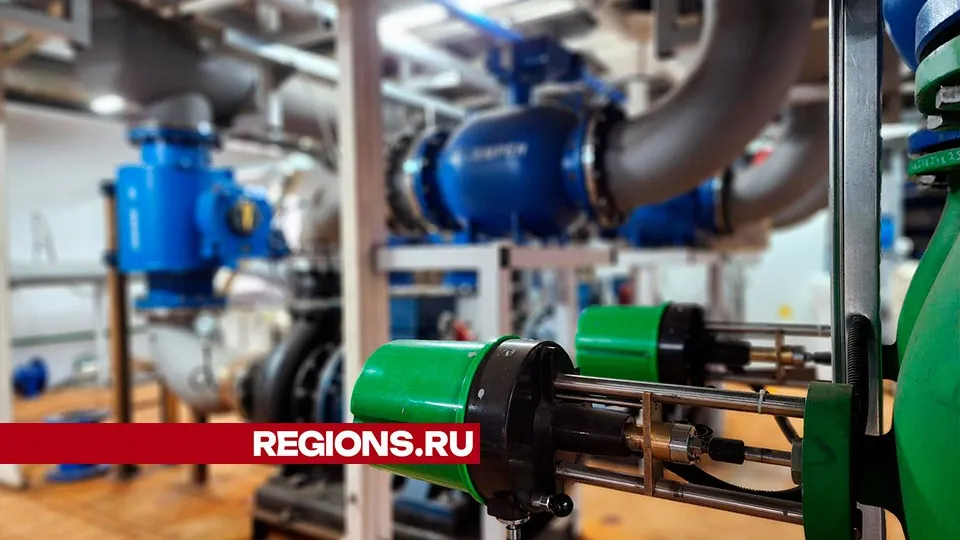 Фото: Светлана Плотникова