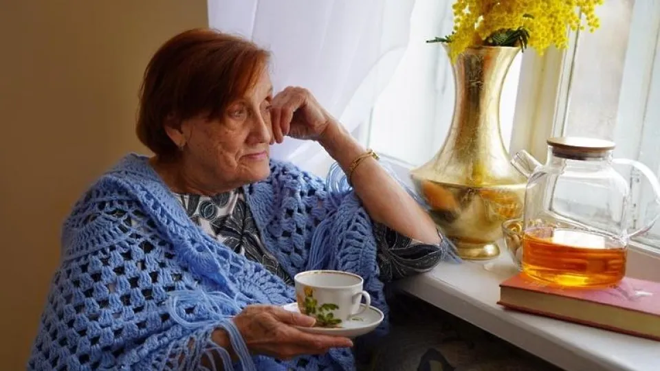 Фото: Минсоцразвития МО